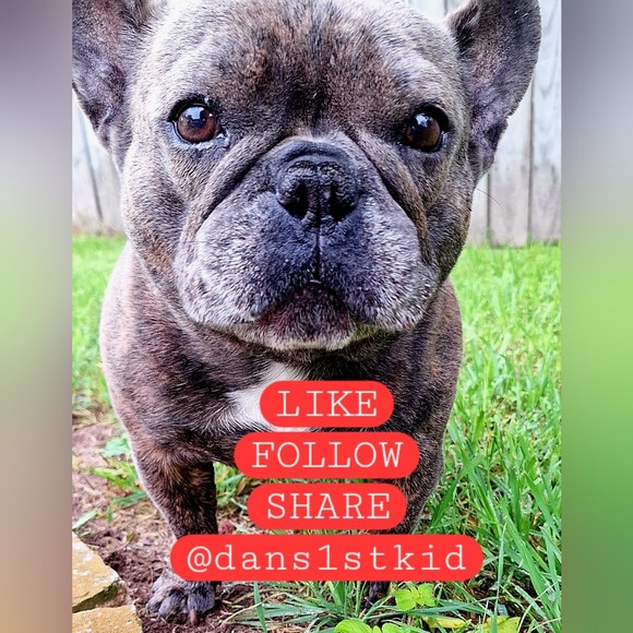 Official Fortnite Battle Royale Survival Guide Book - Picture 8 of 8